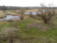 Базилівщина з panoramio.com