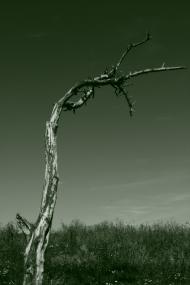 Хроли з panoramio.com