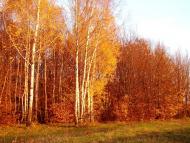 Бабин з panoramio.com