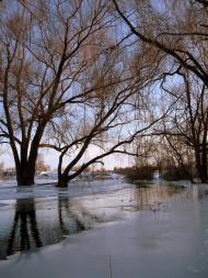 Розкішне з panoramio.com