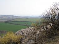 Залісся з panoramio.com