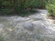 Мареничі з panoramio.com