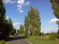 Всеволодівка з panoramio.com