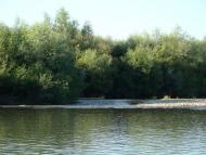 Ганнівці з panoramio.com