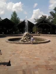 Вишневе з panoramio.com