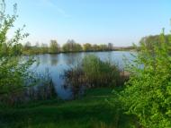 Роїще з panoramio.com