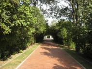 Гоголеве з panoramio.com