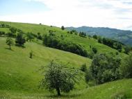 Вишній Дубовець з panoramio.com