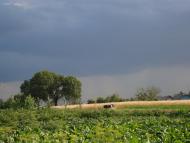 Зайцівка - Останні фото