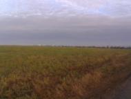 Дзержинське з panoramio.com