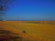 Табачне з panoramio.com