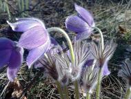 Папкине з panoramio.com