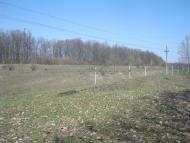 Лопатинці з panoramio.com