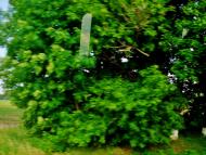 Бране Поле з panoramio.com