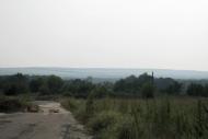 Борове з panoramio.com