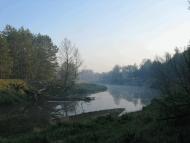 Рудня-Бистра з panoramio.com