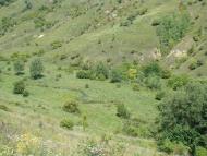 Мала Побіянка з panoramio.com