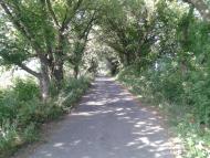 Лецьки з panoramio.com