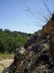 Великомихайлівка з panoramio.com