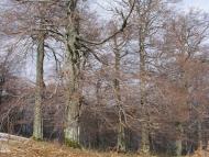 Березники з panoramio.com