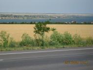 Паліївка з panoramio.com