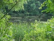 Руські Тишки з panoramio.com