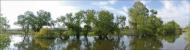 Новий Стародуб з panoramio.com