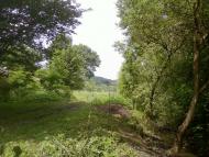 Великі Глібовичі з panoramio.com