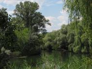 Червоний Оскіл з panoramio.com