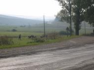 Насташине з panoramio.com