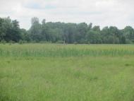 Дейкалівка з panoramio.com