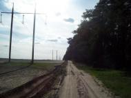 Тарасенки з panoramio.com - Тарасенки