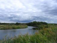 Ряське з panoramio.com - Рясское