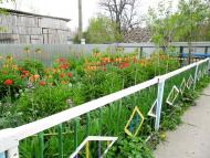 Заміхів з panoramio.com