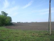 Старі Бейзими з panoramio.com