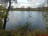 Змійове з panoramio.com