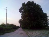 Маленьке з panoramio.com