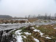 Мильці з panoramio.com