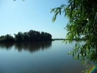 Сніжна з panoramio.com