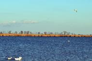 Дарівка з panoramio.com