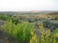 Козубівка з panoramio.com