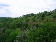 Інгулець з panoramio.com