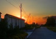 Чистеньке з panoramio.com