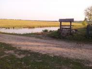 Ріпна з panoramio.com