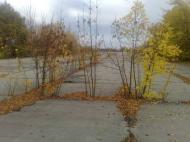 Узин з panoramio.com