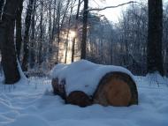 Фурси з panoramio.com