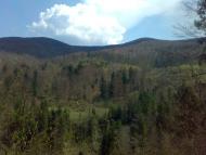 Майдан з panoramio.com