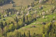 Бабин з panoramio.com - Бабин