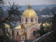 Судова Вишня з panoramio.com