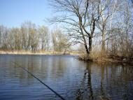 Шабельники з panoramio.com